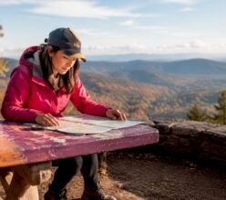 Woman examining map in forest trailhead
