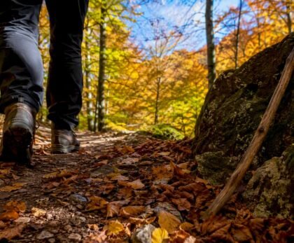 Hiker's boots on forest trail in Vienna Woods