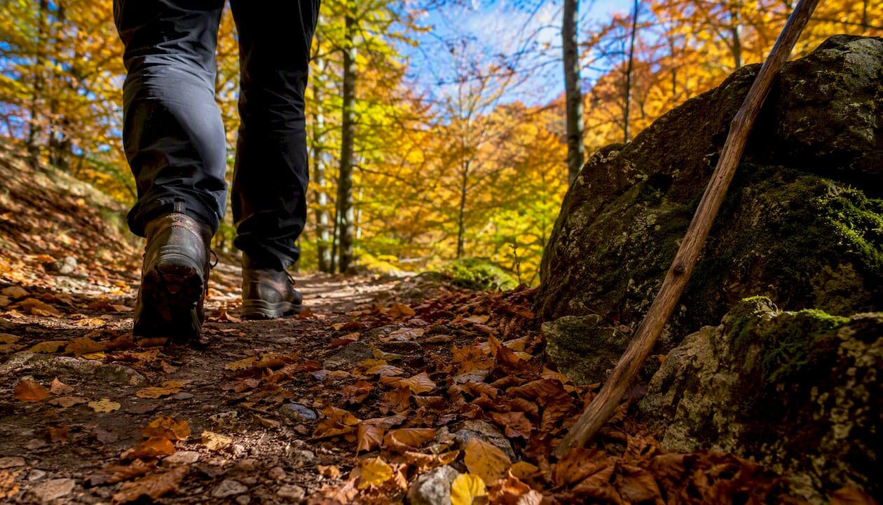Hiker's boots on forest trail in Vienna Woods